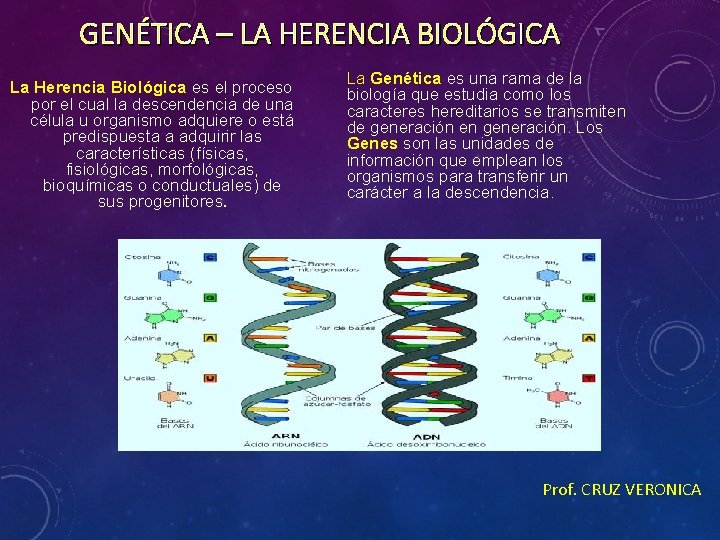 GENÉTICA – LA HERENCIA BIOLÓGICA La Herencia Biológica es el proceso por el cual