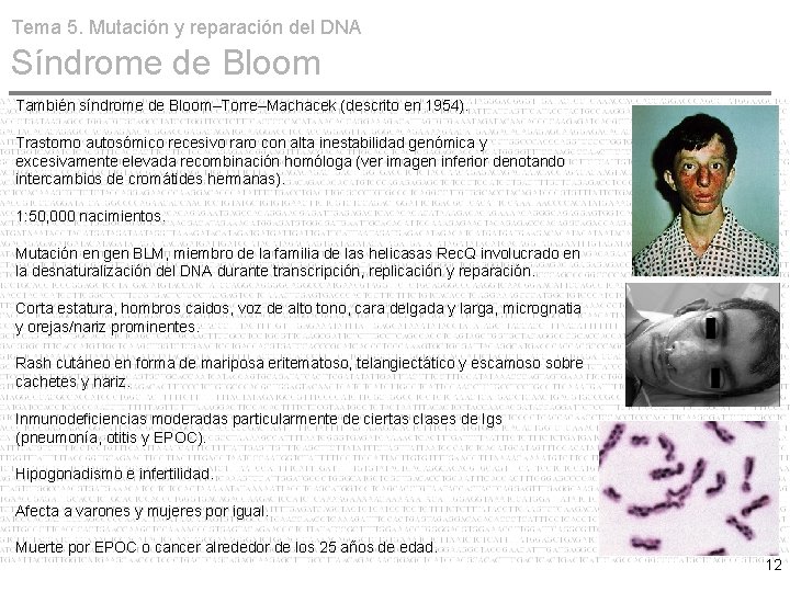 Tema 5. Mutación y reparación del DNA Síndrome de Bloom También síndrome de Bloom–Torre–Machacek