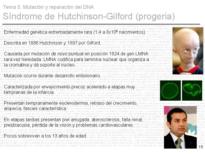 Tema 5. Mutación y reparación del DNA Síndrome de Hutchinson-Gilford (progeria) Enfermedad genética extremadamente