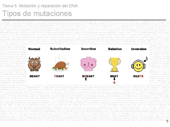 Tema 5. Mutación y reparación del DNA Tipos de mutaciones 5 