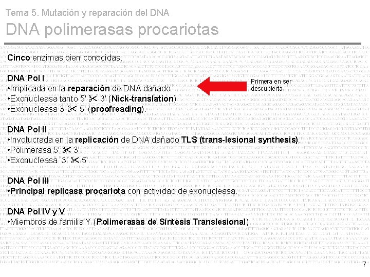 Tema 5. Mutación y reparación del DNA polimerasas procariotas Cinco enzimas bien conocidas. DNA