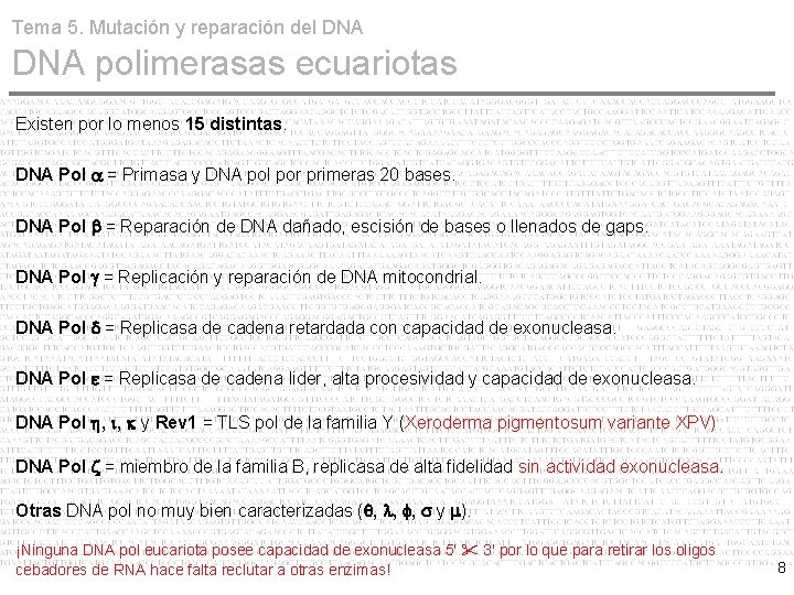 Tema 5. Mutación y reparación del DNA polimerasas ecuariotas Existen por lo menos 15