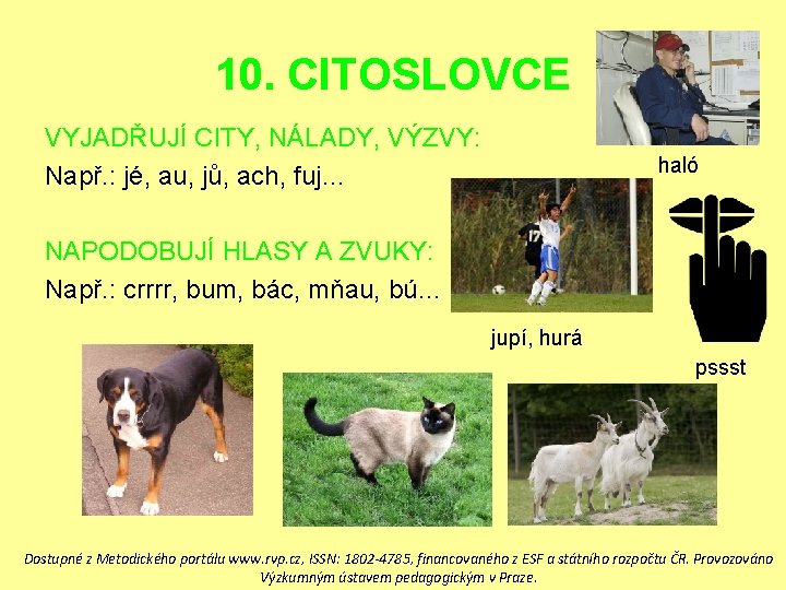 10. CITOSLOVCE VYJADŘUJÍ CITY, NÁLADY, VÝZVY: Např. : jé, au, jů, ach, fuj… haló