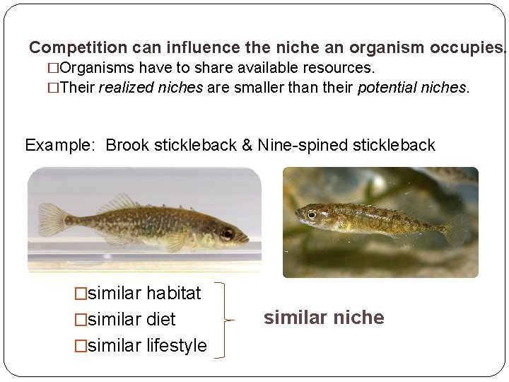 Competition can influence the niche an organism occupies. �Organisms have to share available resources.