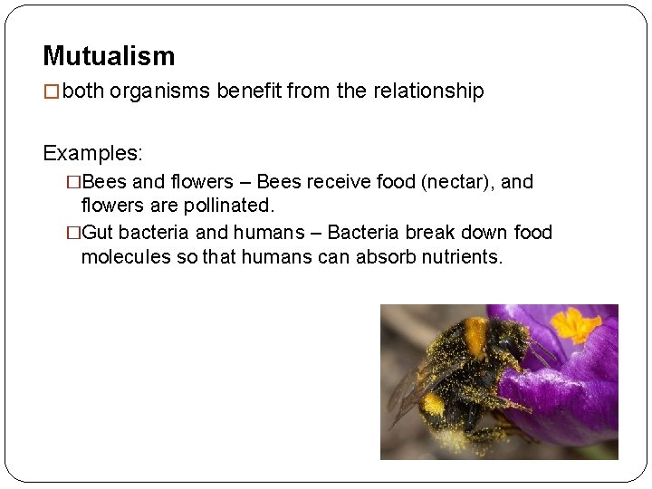 Mutualism � both organisms benefit from the relationship Examples: �Bees and flowers – Bees