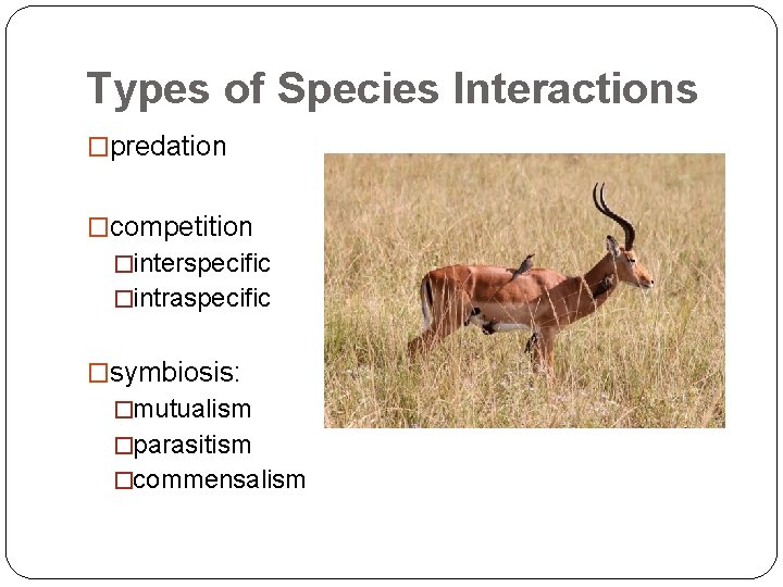 Types of Species Interactions �predation �competition �interspecific �intraspecific �symbiosis: �mutualism �parasitism �commensalism 