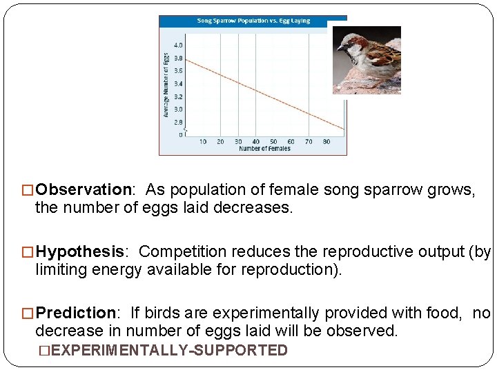 � Observation: As population of female song sparrow grows, the number of eggs laid