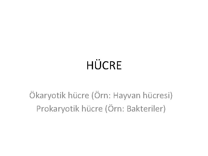 HÜCRE Ökaryotik hücre (Örn: Hayvan hücresi) Prokaryotik hücre (Örn: Bakteriler) 