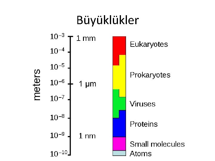 Büyüklükler 