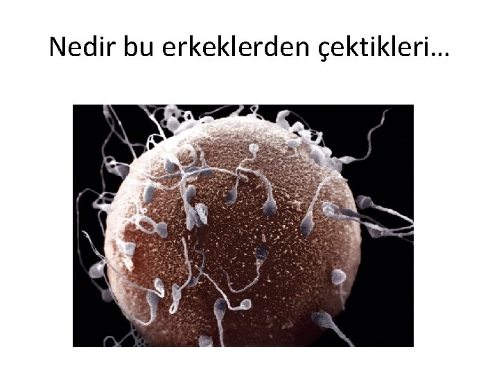 Nedir bu erkeklerden çektikleri… 