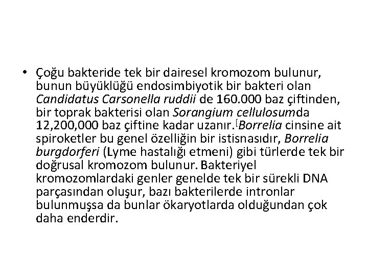  • Çoğu bakteride tek bir dairesel kromozom bulunur, bunun büyüklüğü endosimbiyotik bir bakteri