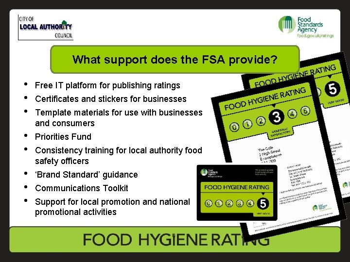 What support does the FSA provide? • • • Free IT platform for publishing
