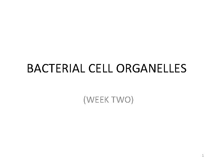BACTERIAL CELL ORGANELLES (WEEK TWO) 1 