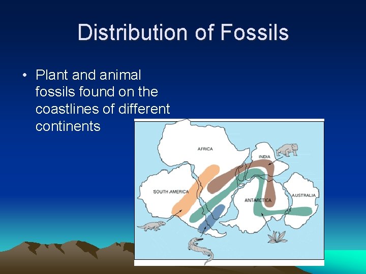 Distribution of Fossils • Plant and animal fossils found on the coastlines of different