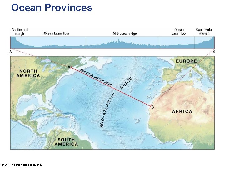 Ocean Provinces © 2014 Pearson Education, Inc. 