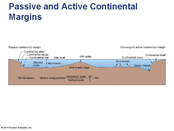 Passive and Active Continental Margins © 2014 Pearson Education, Inc. 