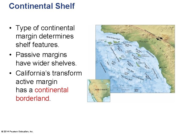 Continental Shelf • Type of continental margin determines shelf features. • Passive margins have