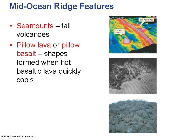 Mid-Ocean Ridge Features • Seamounts – tall volcanoes • Pillow lava or pillow basalt