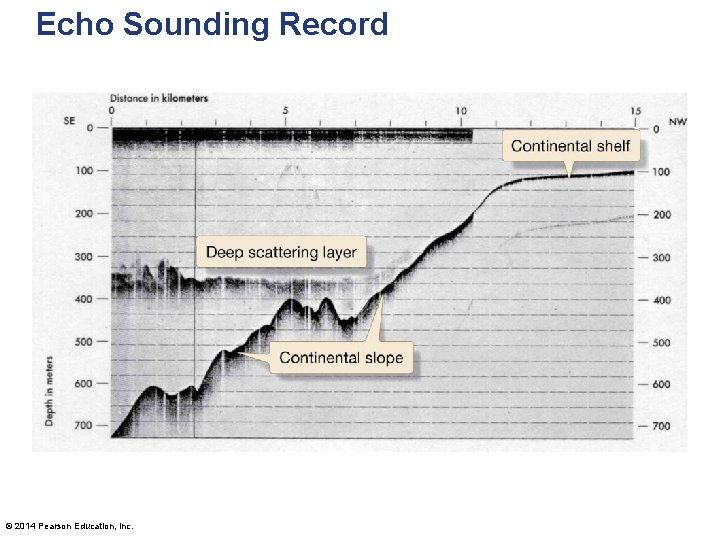 Echo Sounding Record © 2014 Pearson Education, Inc. 