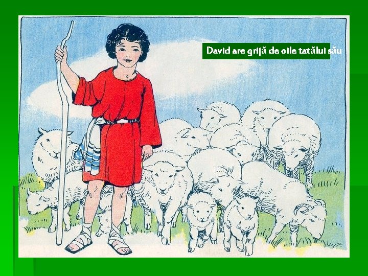 David are grijă de oile tatălui său 