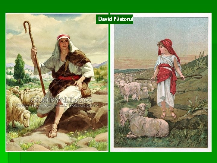 David Păstorul 