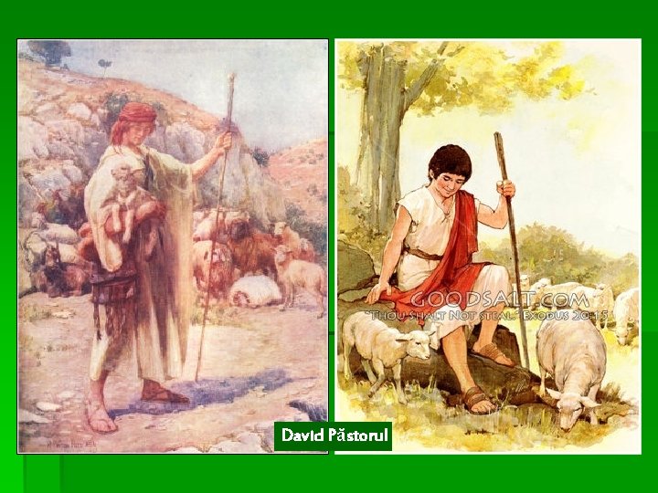 David Păstorul 