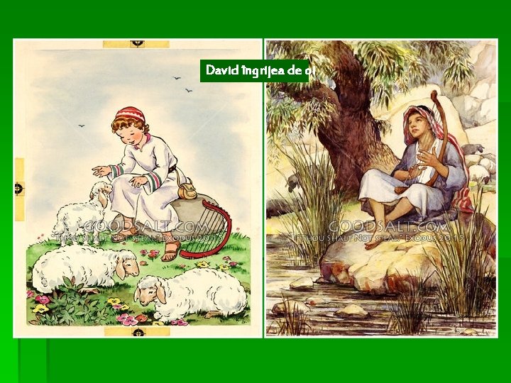 David îngrijea de oi 