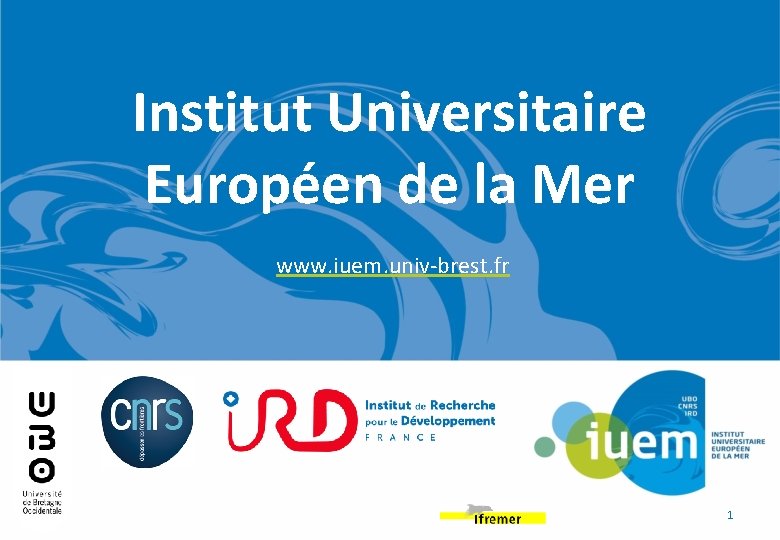 Institut Universitaire Européen de la Mer www. iuem. univ-brest. fr 1 