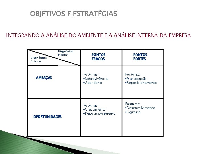 OBJETIVOS E ESTRATÉGIAS INTEGRANDO A ANÁLISE DO AMBIENTE E A ANÁLISE INTERNA DA EMPRESA