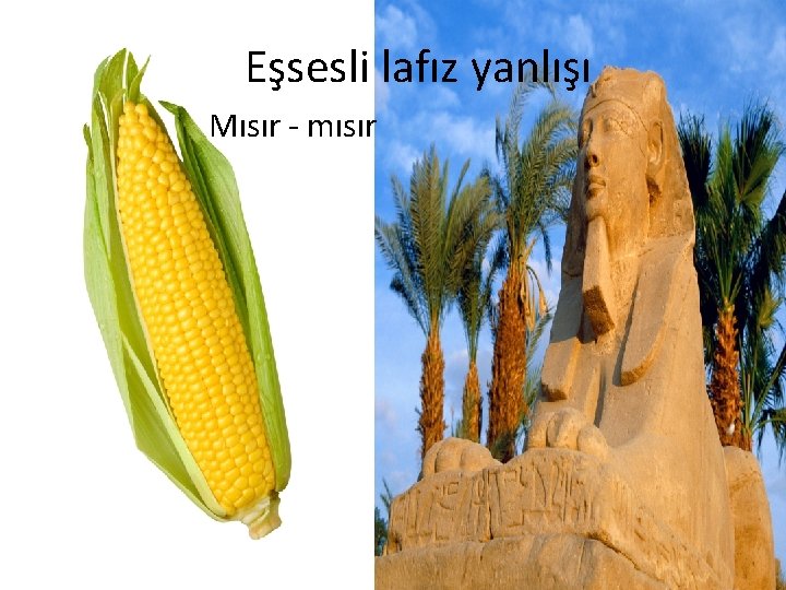 Eşsesli lafız yanlışı Mısır - mısır 