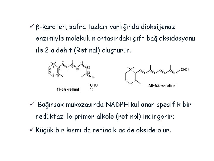 ü -karoten, safra tuzları varlığında dioksijenaz enzimiyle molekülün ortasındaki çift bağ oksidasyonu ile 2