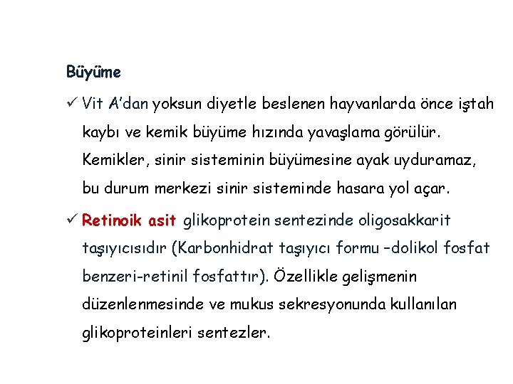 Büyüme ü Vit A’dan yoksun diyetle beslenen hayvanlarda önce iştah kaybı ve kemik büyüme Büyüme ü Vit A’dan yoksun diyetle beslenen hayvanlarda önce iştah kaybı ve kemik büyüme