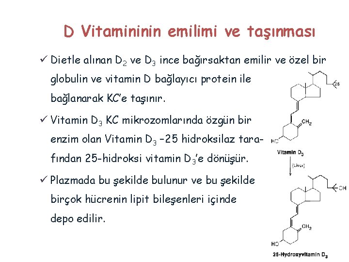 D Vitamininin emilimi ve taşınması ü Dietle alınan D 2 ve D 3 ince