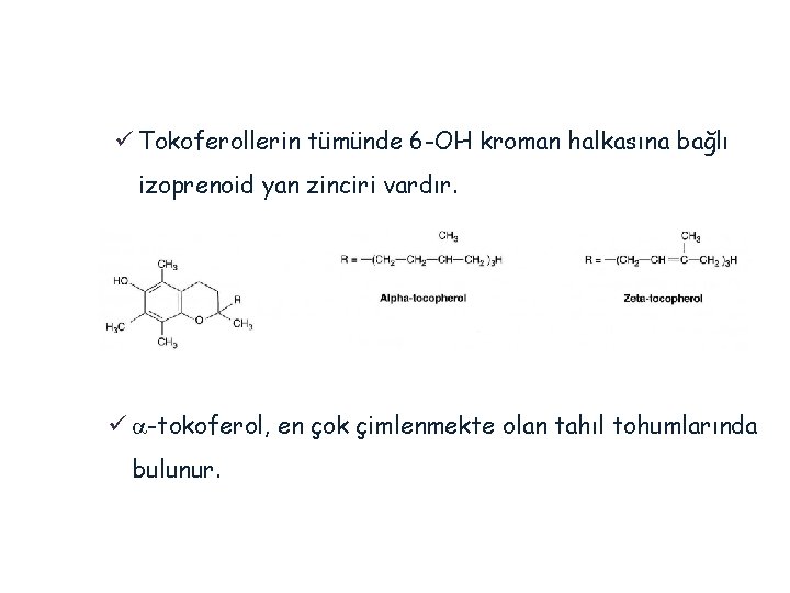 ü Tokoferollerin tümünde 6 -OH kroman halkasına bağlı izoprenoid yan zinciri vardır. ü a-tokoferol,