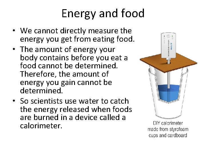 Energy and food • We cannot directly measure the energy you get from eating