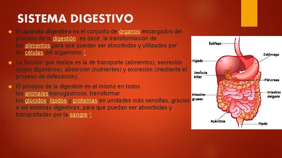 SISTEMA DIGESTIVO El aparato digestivo es el conjunto de órganos encargados del proceso de