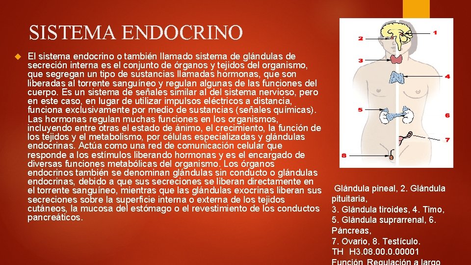 SISTEMA ENDOCRINO El sistema endocrino o también llamado sistema de glándulas de secreción interna