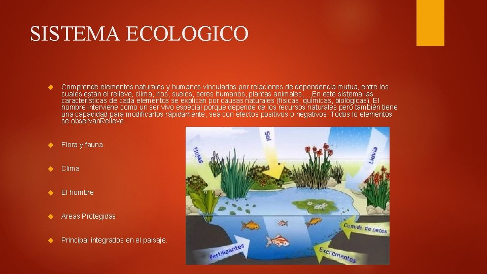 SISTEMA ECOLOGICO Comprende elementos naturales y humanos vinculados por relaciones de dependencia mutua, entre