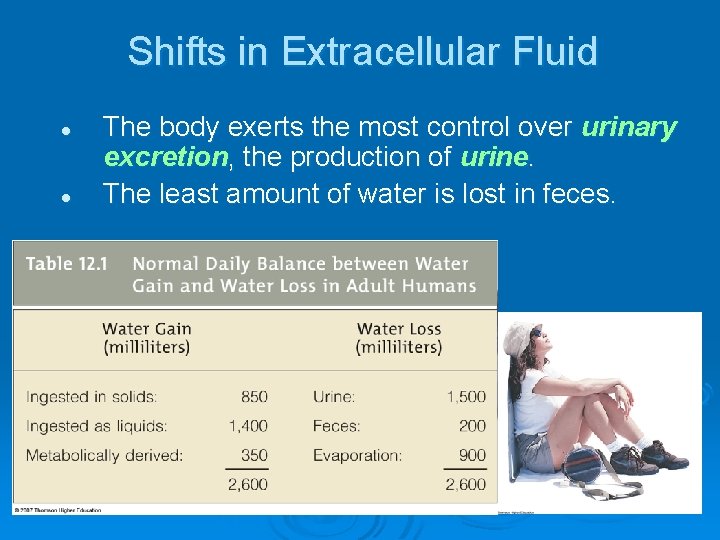 Shifts in Extracellular Fluid l l The body exerts the most control over urinary