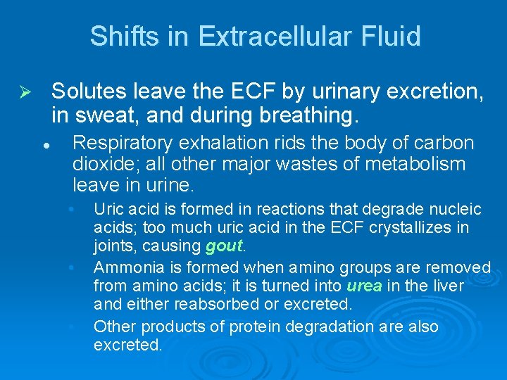 Shifts in Extracellular Fluid Solutes leave the ECF by urinary excretion, in sweat, and