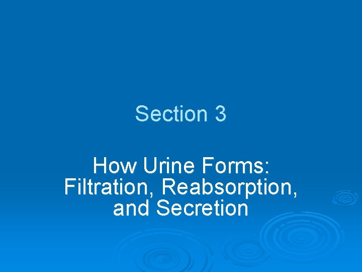 Section 3 How Urine Forms: Filtration, Reabsorption, and Secretion 