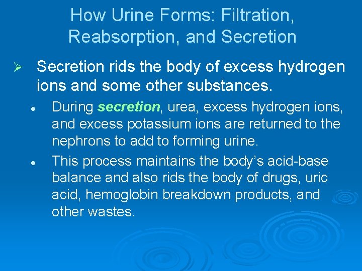 How Urine Forms: Filtration, Reabsorption, and Secretion rids the body of excess hydrogen ions