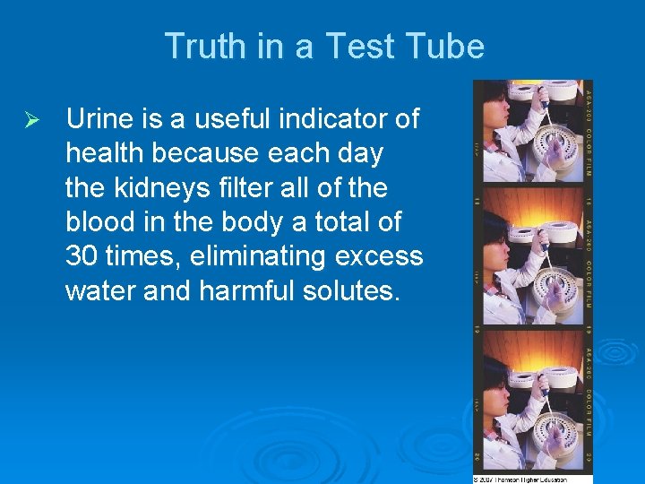 Truth in a Test Tube Ø Urine is a useful indicator of health because