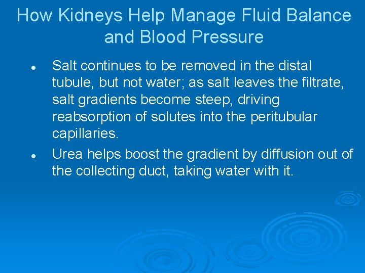 How Kidneys Help Manage Fluid Balance and Blood Pressure l l Salt continues to