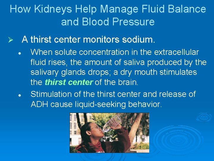 How Kidneys Help Manage Fluid Balance and Blood Pressure A thirst center monitors sodium.