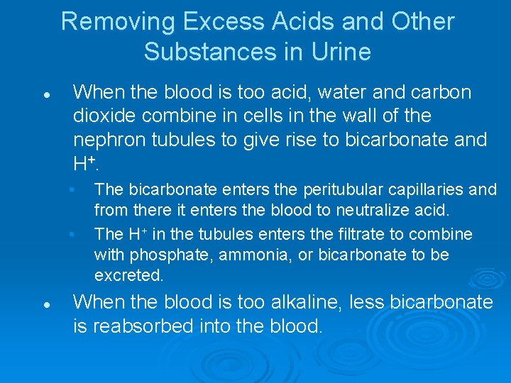 Removing Excess Acids and Other Substances in Urine l When the blood is too