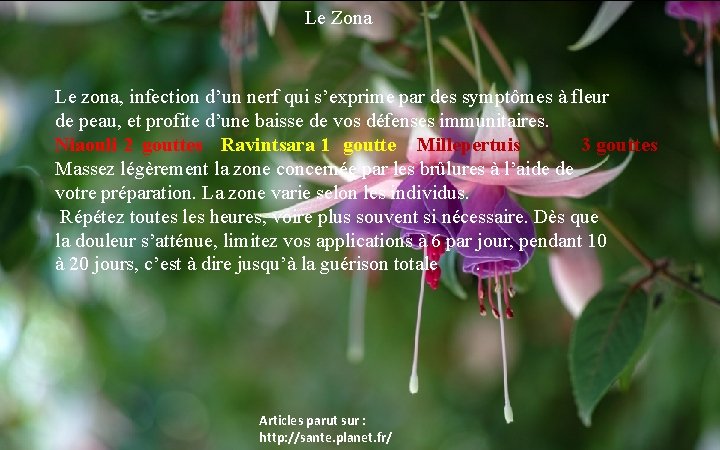 Le Zona Le zona, infection d’un nerf qui s’exprime par des symptômes à fleur