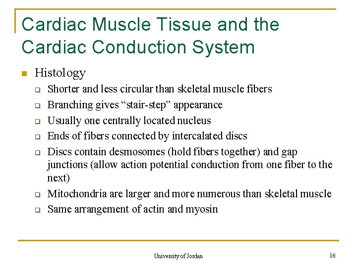 Cardiac Muscle Tissue and the Cardiac Conduction System n Histology q q q q