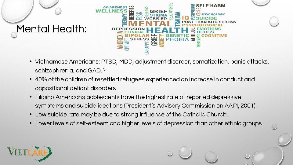 Mental Health: • Vietnamese Americans: PTSD, MDD, adjustment disorder, somatization, panic attacks, schizophrenia, and