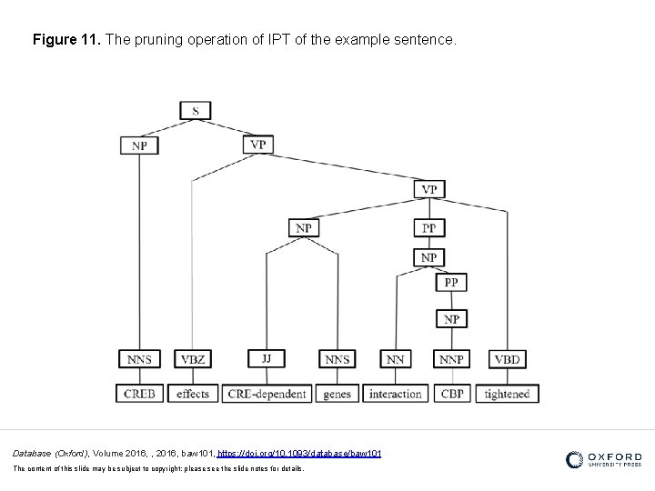 Figure 11. The pruning operation of IPT of the example sentence. Database (Oxford), Volume